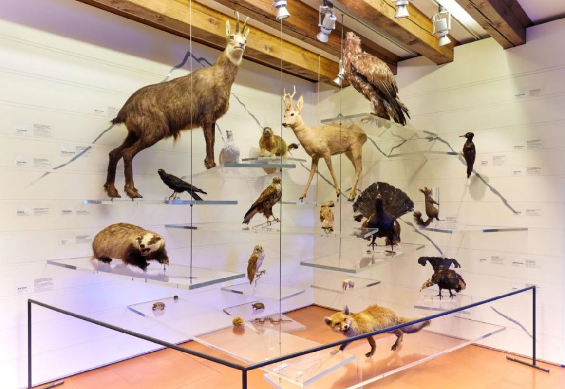 Museo di Storia Naturale del Garda e del Baldo