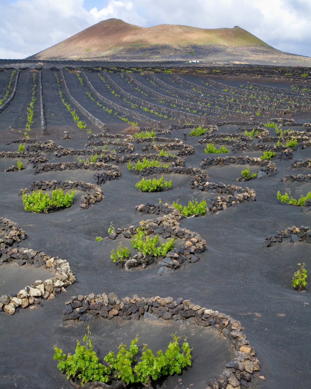 World2Wander Lanzarote - Introduzione a Lanzarote