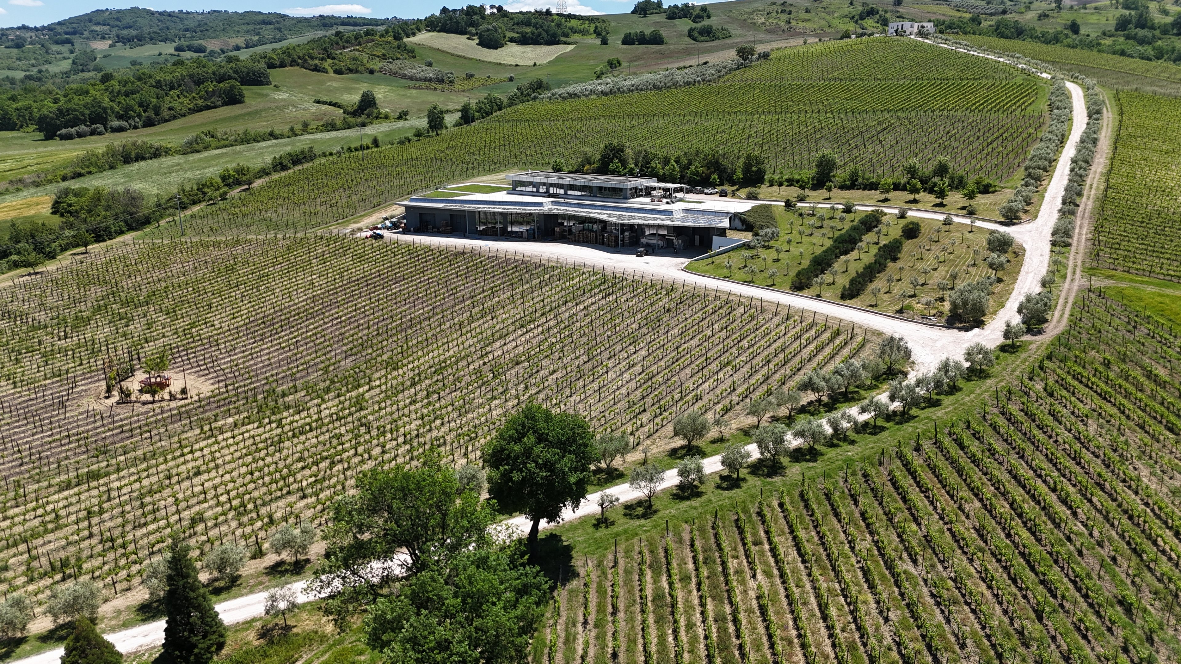 Fonzone Winery – Vini dell’Irpinia