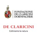 The organizers: de Claricini Dornpacher Foundation