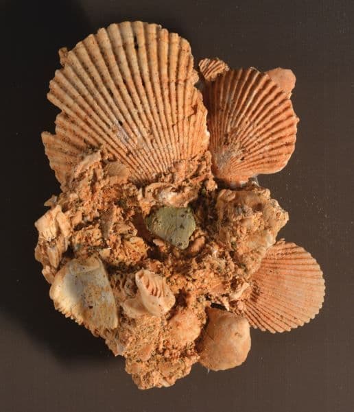 Vollständiger Museumsbesuchsplan