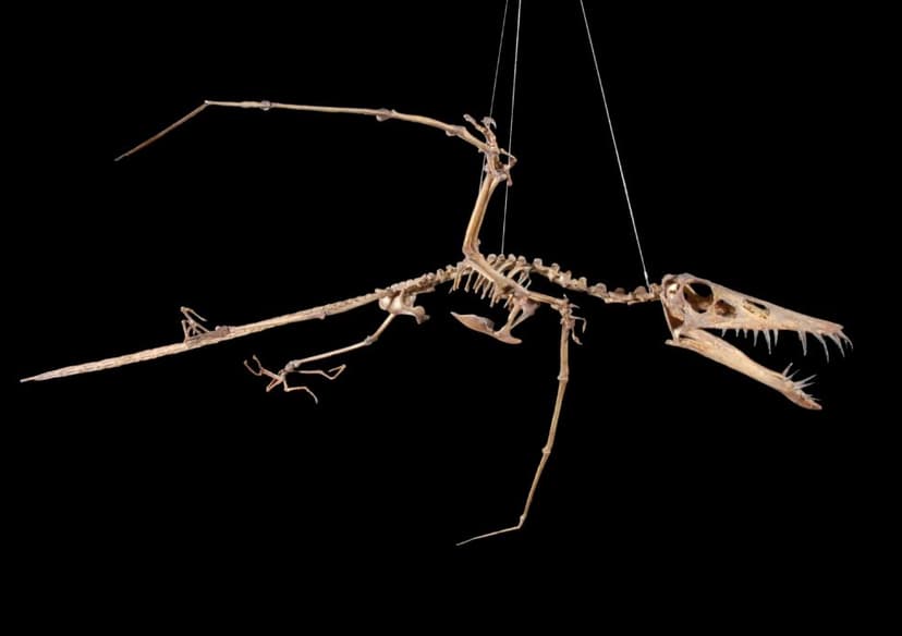 Origins of Life Itinerary