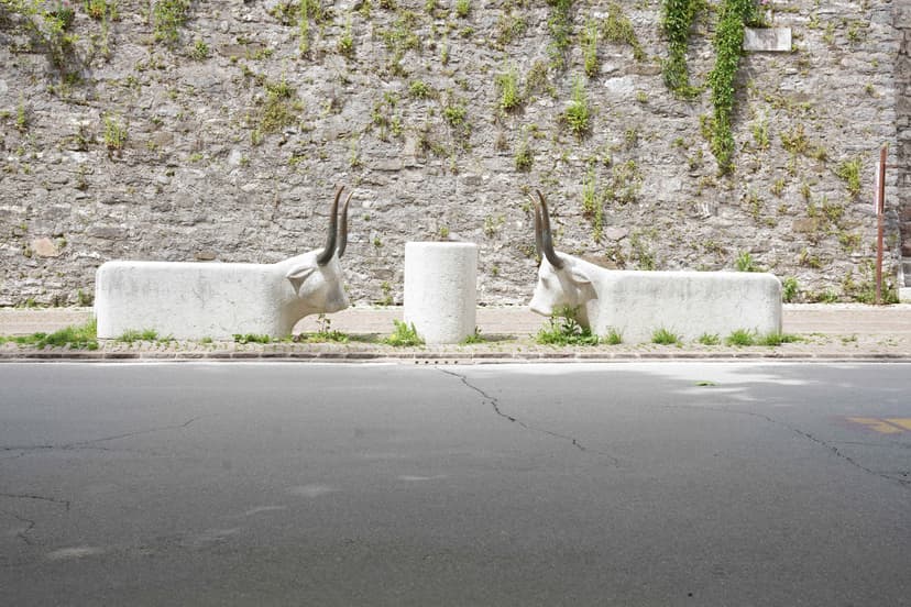 Due Tori - Feltre