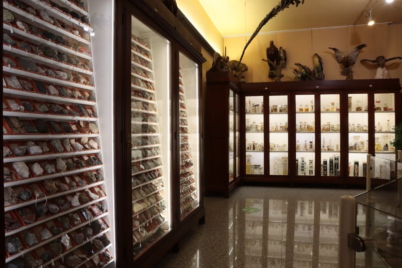 Episcopal Seminary Itinerary - Nature on display in the 19th century