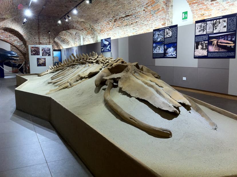 Rundgang durch die Dauerausstellung