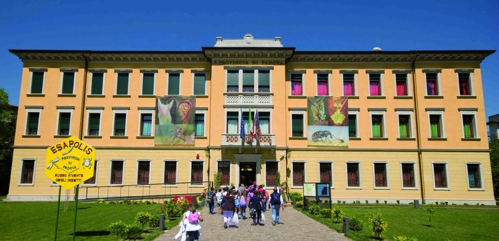 Museo Esapolis