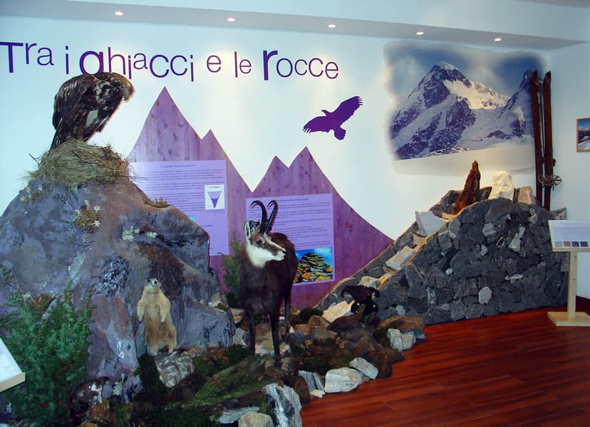 Itinerario introduttivo