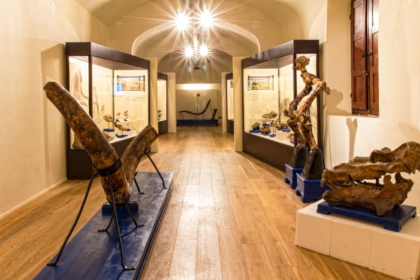 Itinerario introduttivo