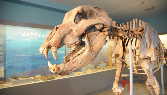 Museo Archeologico della Valle Sabbia