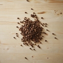 When, where, and how was espresso born?