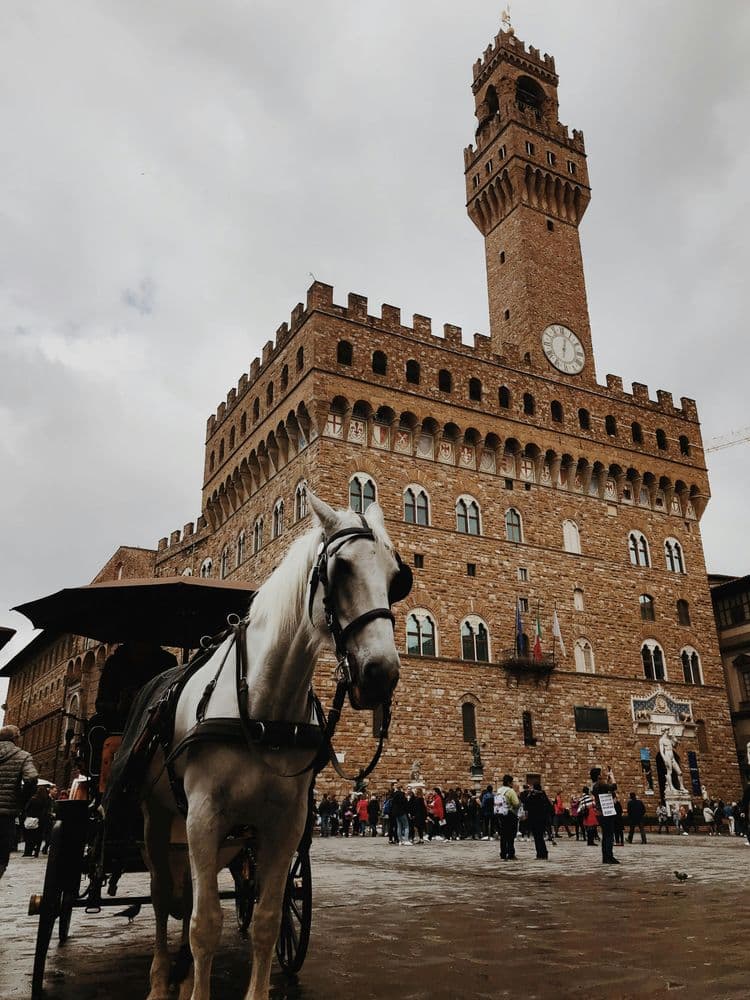Palazzo Vecchio: potere, arte e storia nella città dei Medici