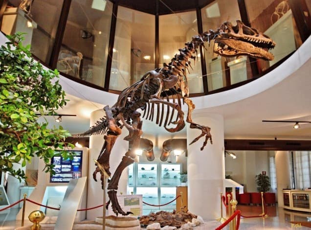 Museo Universitario di Chieti