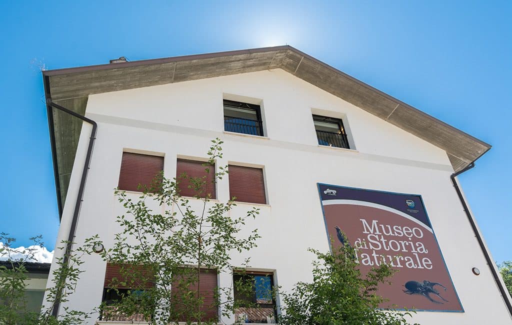 Museo di Storia Naturale dell'Alpago