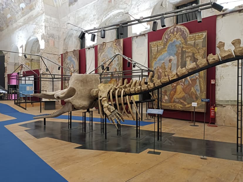 Route für die temporäre Ausstellung