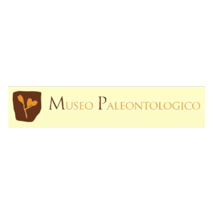 Museo Paleontologico - Comune di Magliano Vetere